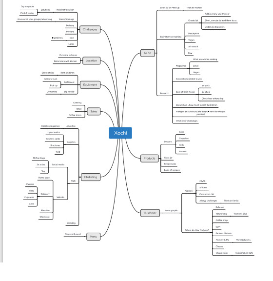 Startup and product launch mind map example